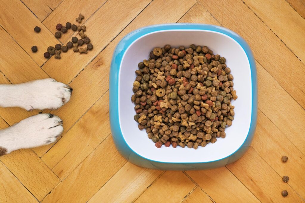 cat food wet canned dry kibble