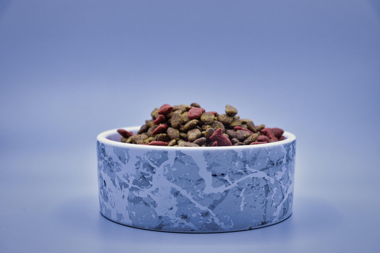 cat eating natural food healthy