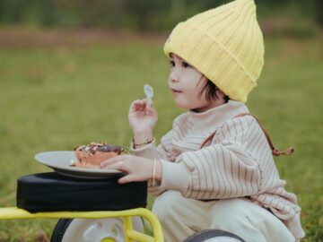 kitten baby cat eating food