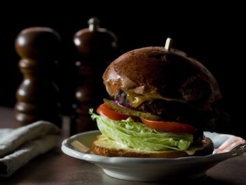 fat cat weight diet food