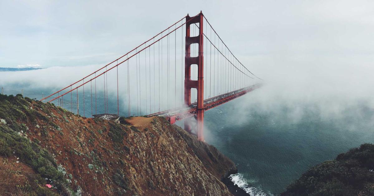 猫のアレルギー対応キャットフードを選ぶイメージ