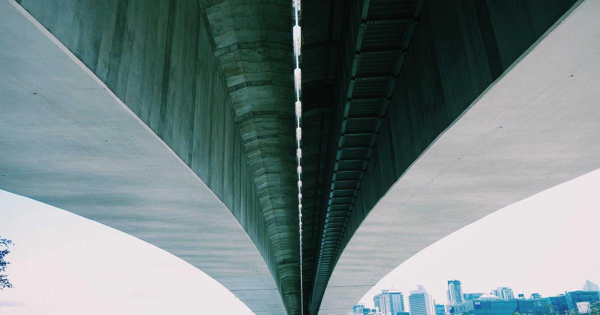 グレインフリーキャットフードのおすすめ12選比較イメージ