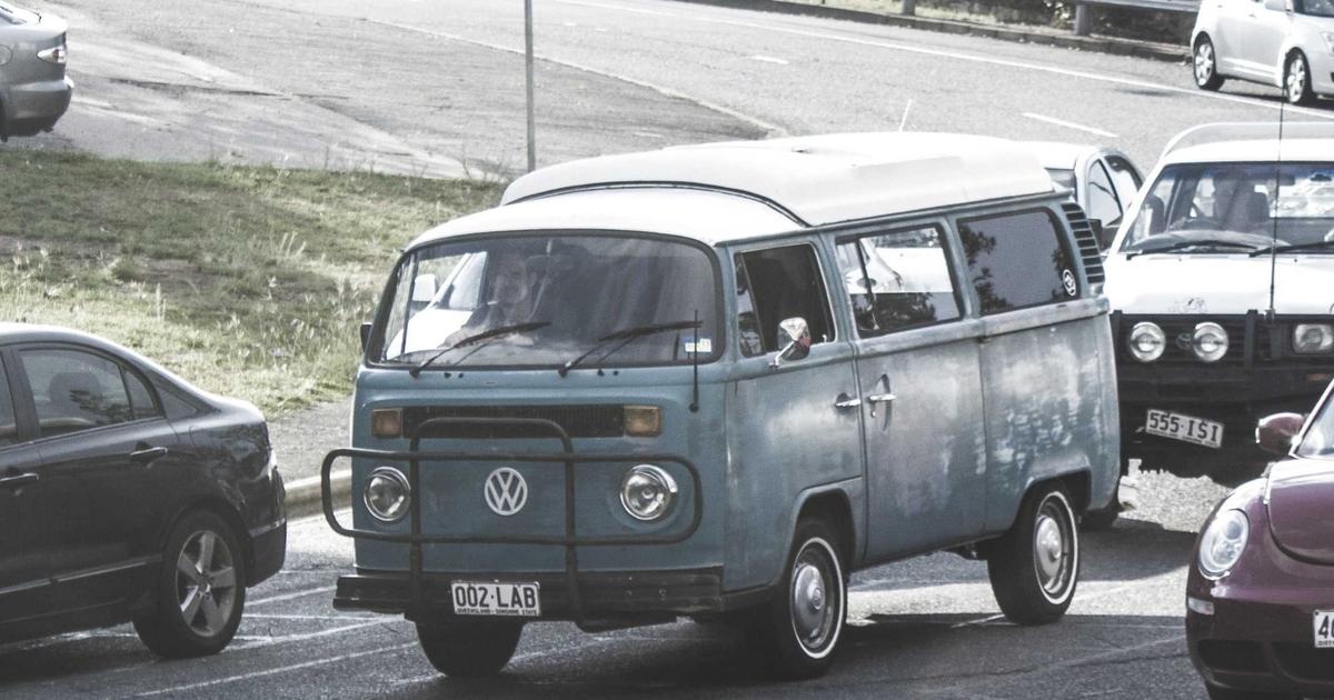 室内で飼われている猫とキャットフードのイメージ